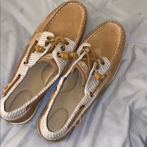sperry shoes size 12